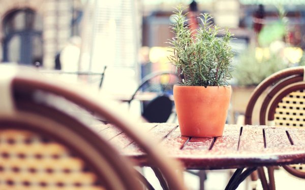 Уютного вечера