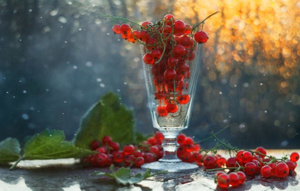 Женщина из воды