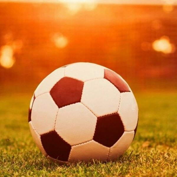 Семья занимается спортом