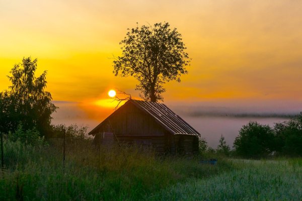 Летнее утро в деревне