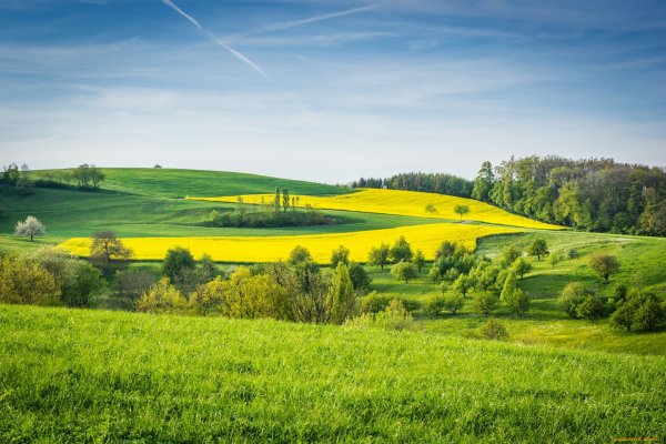 Луга Белоруссии