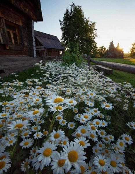 Осенняя глубинка село деревня