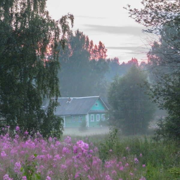 Природа деревня