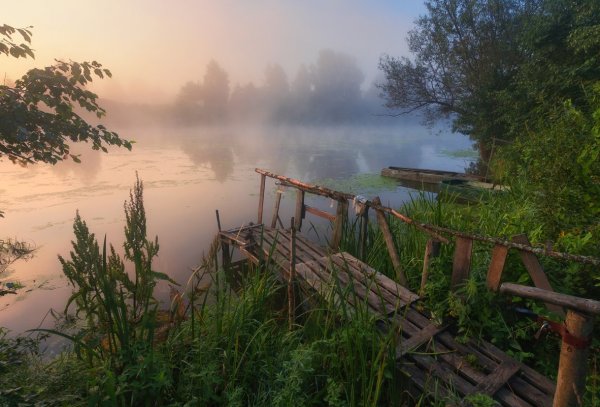 Утро в деревне