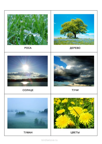 Карточки явления природы