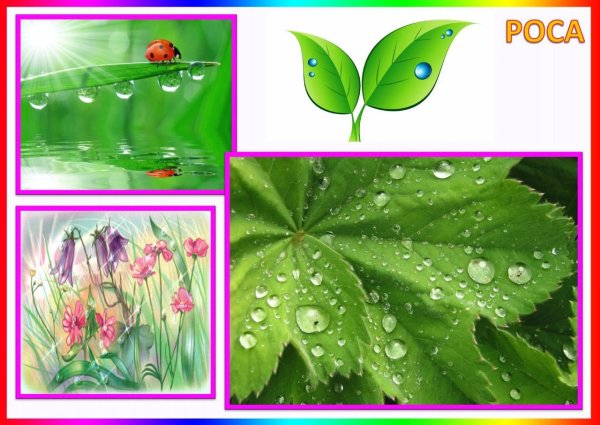 Карточки природные явления