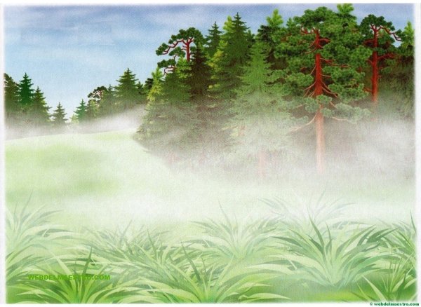 Летние явления природы для дошкольников