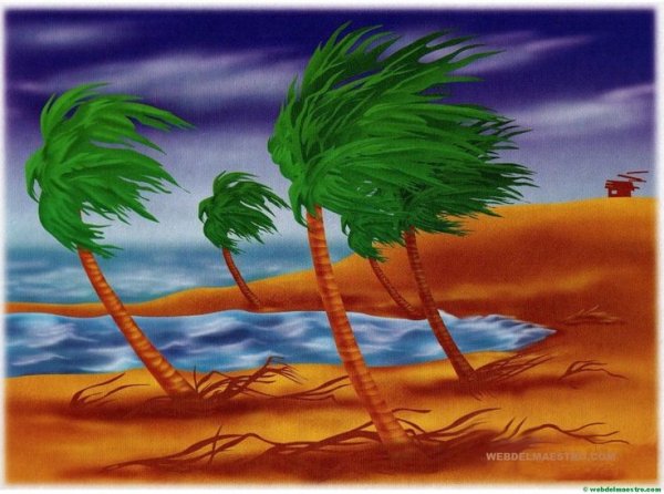 Признаки лета в картинках для детей