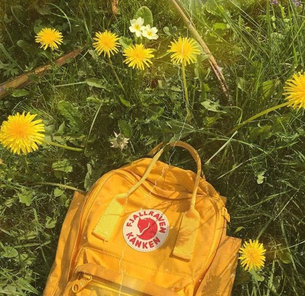 Крутые рисунки на лето