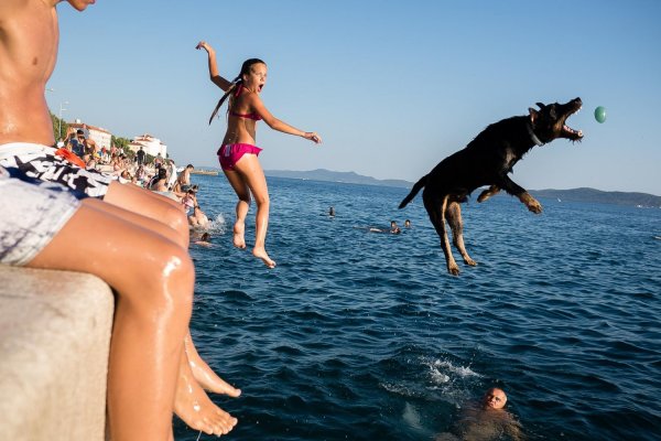 Первый день зимы карикатура