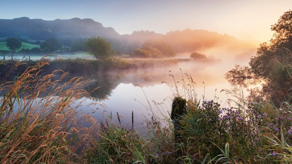 Природа река туман