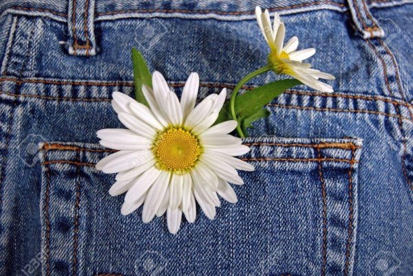 Джинсы с ромашками