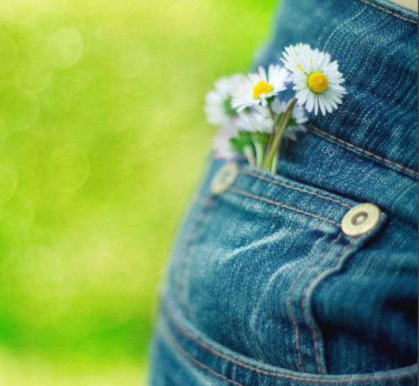 Цветы в кармане джинс