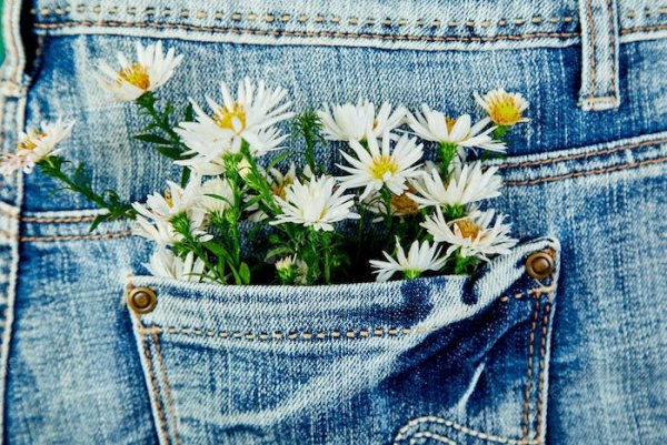 Цветы в джинсовом кармане