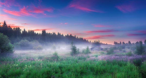 Туманный пейзаж