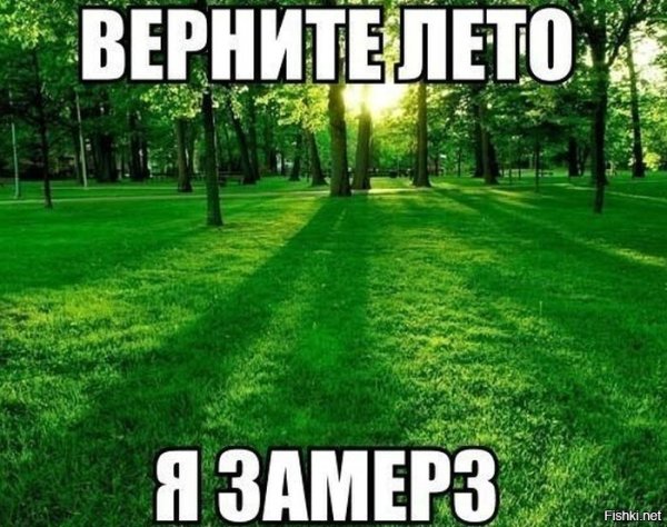 Верните лето картинки