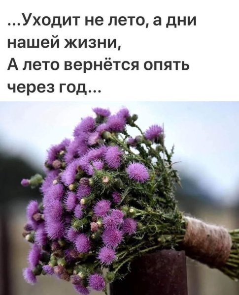Высказывания о лете