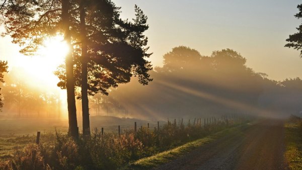 Солнце на дороге