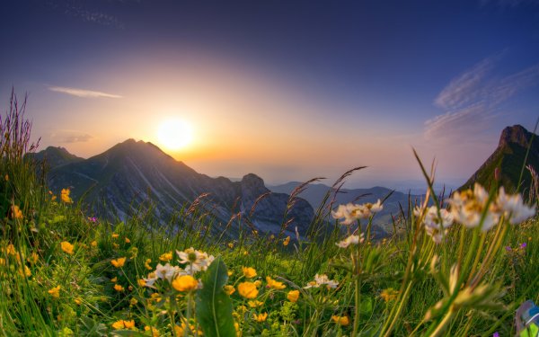 Красивый пейзаж