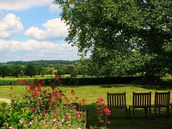 Красивый вид на сад