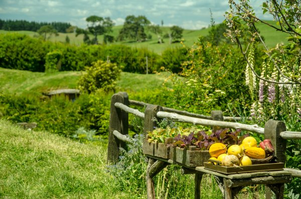 Деревенская природа