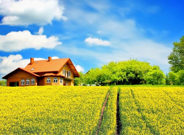 Дача. Весна