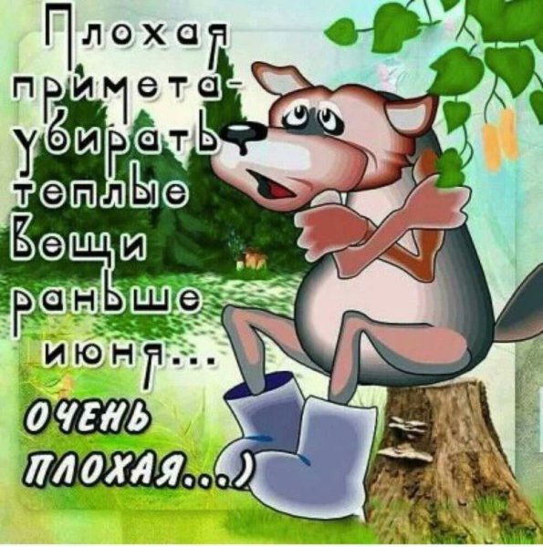 Юмор о лете