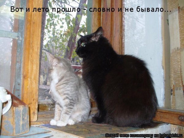 Лето прошло