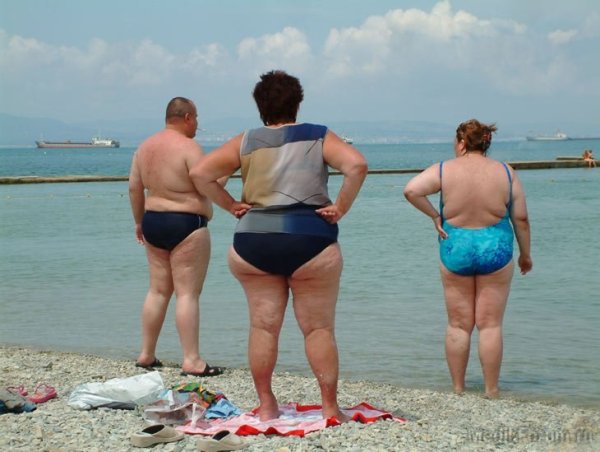 Толстые люди демотиватор