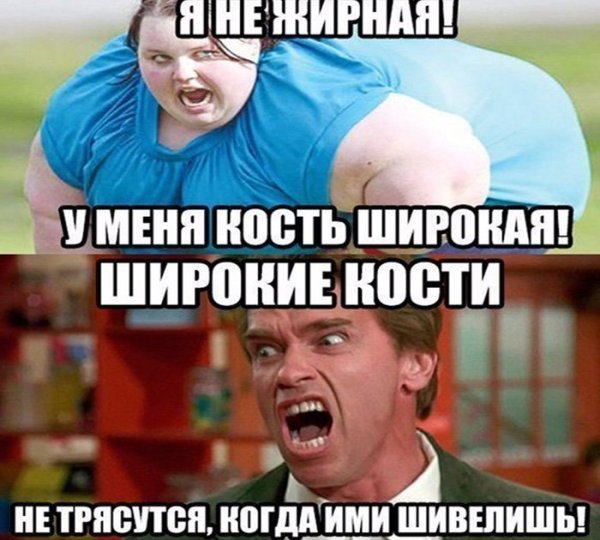 Смешные шутки про жирных