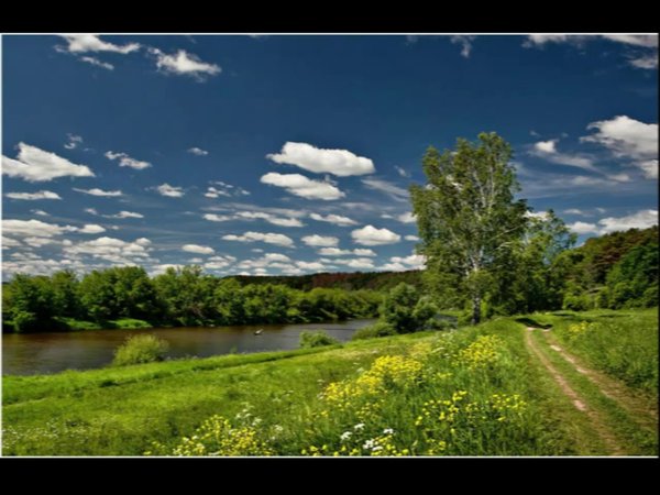 Природа России летом