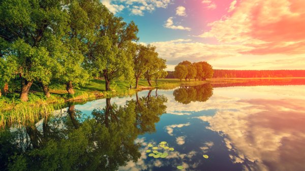 Россия просторы Березки реки