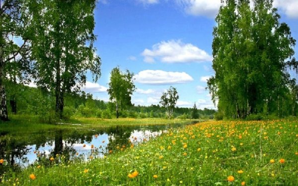 Березовые Рощи Южного Урала