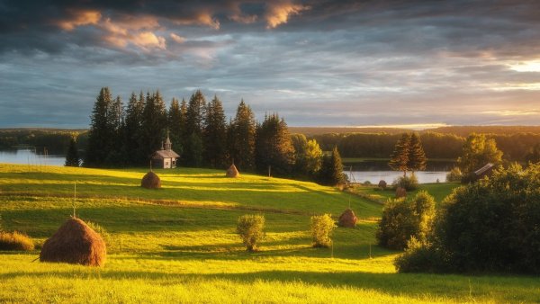 Луга Северо Запада России