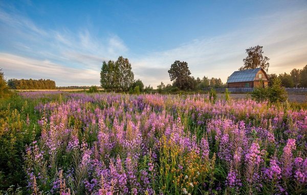 Красота русской природы