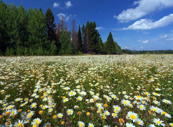 Фотопейзажи Смоленской области