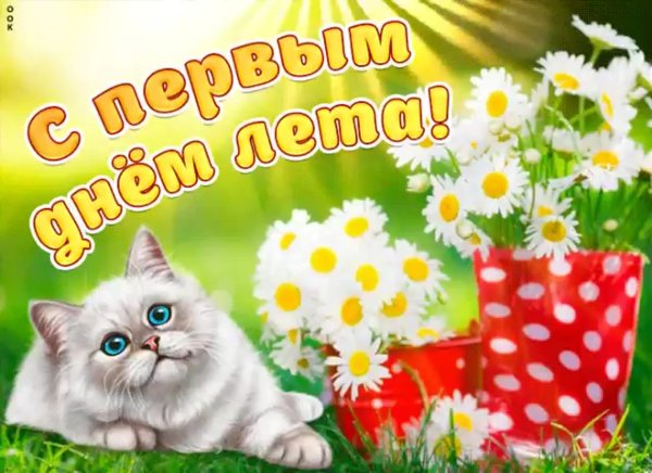 Со вторым днем лета