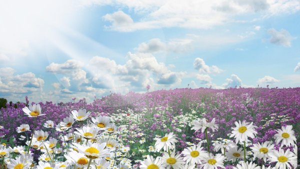 Небо солнце