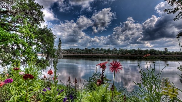 Фотография природы летом