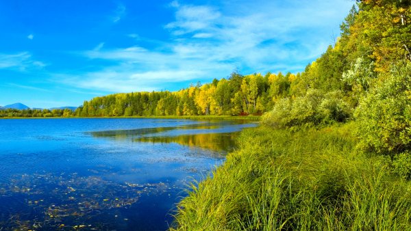 Природа река