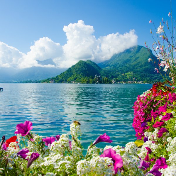 Фото море горы пляж цветы