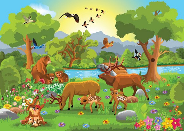 Мир природы для детей