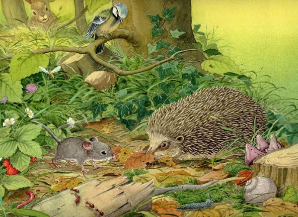 Картина Ежи Ушакова