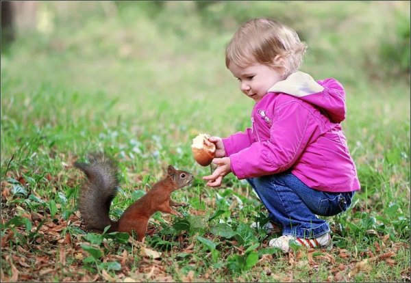 Дети с дикими животными