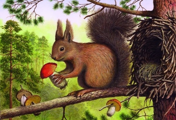 Дети природа животные