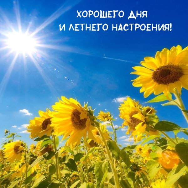 Солнечного летнего настроения