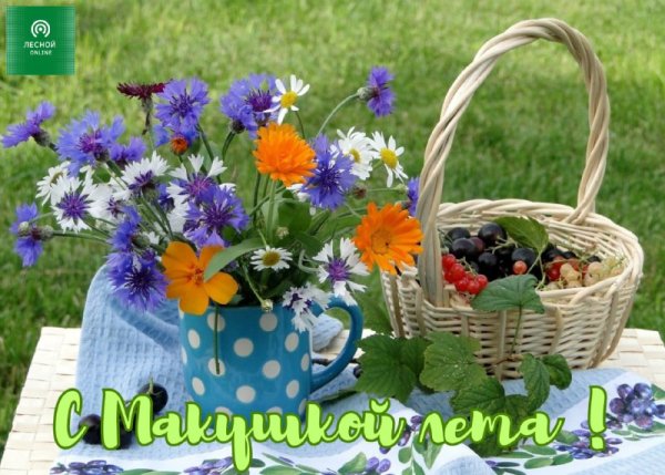 Пожелания с добрым летним утром