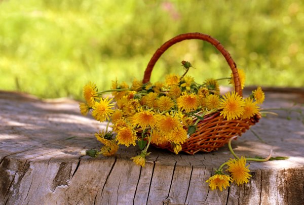 Солнечный день