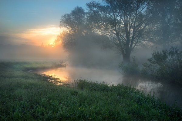 Туманное утро