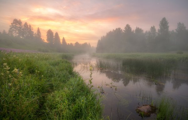 Рассвет в поле